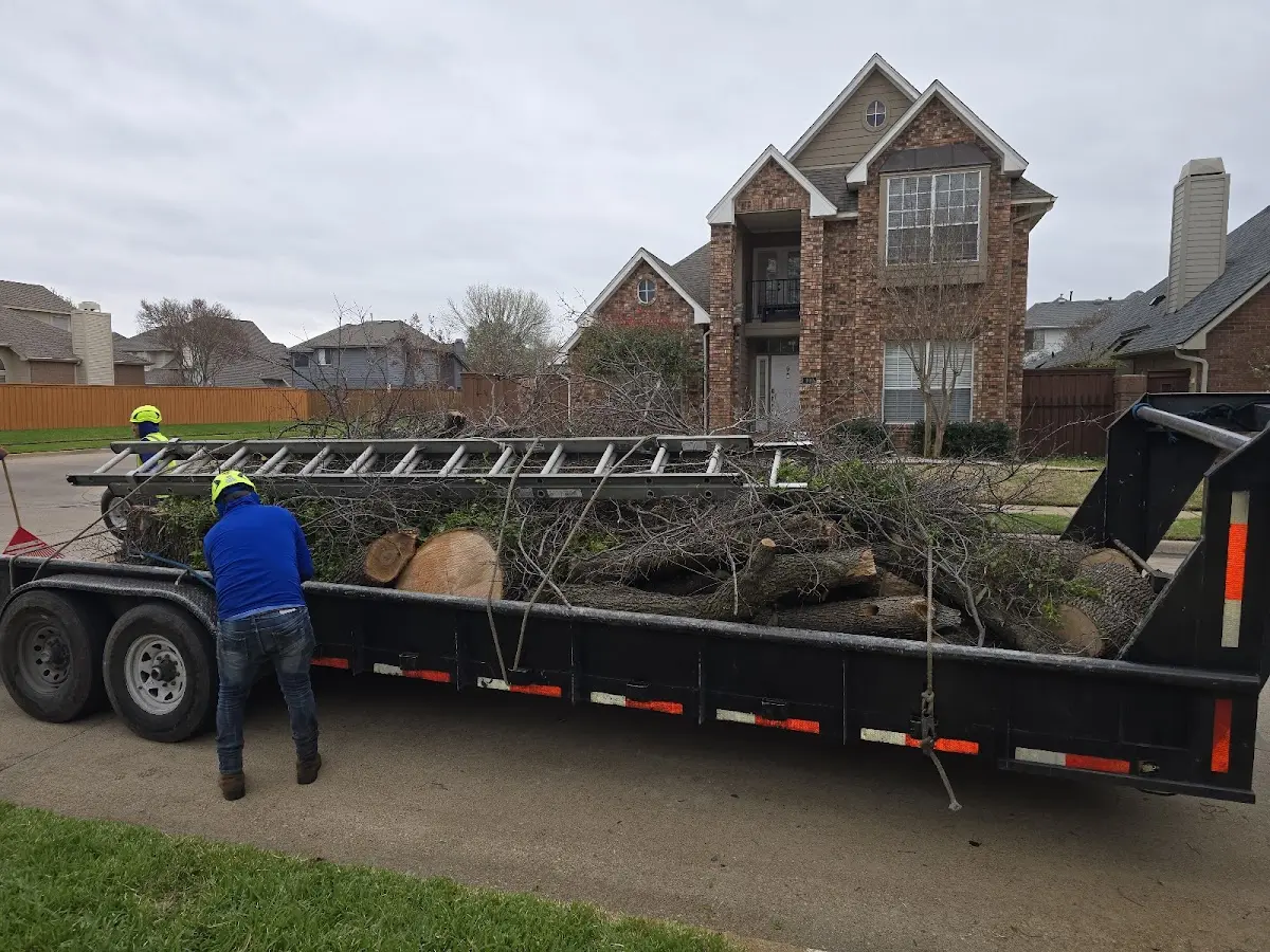 Expert Tree Fertilization with proper safety equipment in Upham